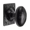 The Tudor Mortice Knob on Rose Oval Design Black Iron