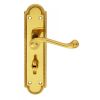 Georgian Lever On Shaped Wc Backplate - Polished Brass