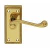 Georgian Lever On Latch Backplate - Polished Brass