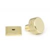 Polished Brass Brompton Cabinet Knob - 25mm (Square)