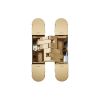 Ceam 3D Concealed Hinge 1131 - Galvanic Satin Brass