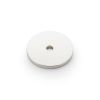 Alexander & Wilks - Circular Backplate - Polished Nickel - Diameter 30mm