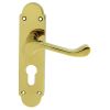 Oakley Lever On Euro Lock Backplate - Polished Brass