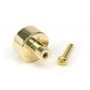 Polished Brass Kelso Cabinet Knob - 25mm (No Rose)