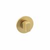 Millhouse Brass WC Turn and Release on 5mm Slimline Round Rose - Satin Brass