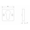 Square Euro Escutcheon - Forged Steel