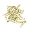 Polished Brass SS 4xÂ½" Round Head Screws (25)