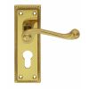 Georgian Lever On Euro Lock Backplate - Polished Brass