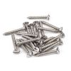 Stainless Steel 6x1" Countersunk Raised Head Screws (25)