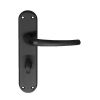 Lilla Lever On Wc Backplate - Matt Black