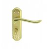 Lytham Lever On Wc Backplate - Dual Finish-Satin/Polished Brass