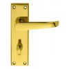 Victorian Lever On Wc Bathroom Backplate - Polished Brass