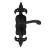 Fleur De Lys' Lever On Wc Backplate - Black Antique