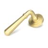 Satin Brass Newbury Lever on Rose Set (Plain)