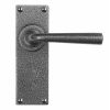 Pastow Lever Handle on Backplate (Latch/Passage) - Forged Steel