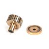 Polished Bronze Judd Cabinet Knob - 25mm (Plain)