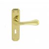 Eden Lever On Lock Backplate - Polished Brass