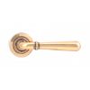 Polished Bronze Newbury Lever on Rose Set (Plain) - U