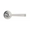 Polished Marine SS (316) Avon Round Lever on Rose Set (Plain) - Unsprung