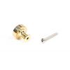 Polished Brass Scully Cabinet Knob - 25mm