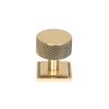 Polished Bronze Brompton Cabinet Knob - 32mm (Square)