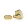 Polished Brass Judd Cabinet Knob - 32mm (Plain)