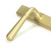 Satin Brass Newbury Slimline Lever Espag. Lock Set