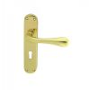 Astro Lever On Lock Backplate - Polished Brass