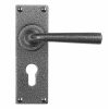 Pastow Lever Handle on Backplate (Euro) - Forged Steel