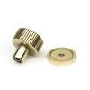 Aged Brass Judd Cabinet Knob - 25mm (Plain)