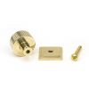 Polished Brass Judd Cabinet Knob - 25mm (Square)