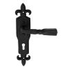 Barley Twist Lever On Gothic Lock Backplate - Black Antique