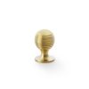 Alexander & Wilks - Caesar Cupboard Knob on Round Rose - Satin Brass PVD - 25mm