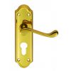 Ashtead Lever On Euro Lock Backplate - Polished Brass