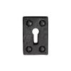 The Tudor Rectangluar Keyhole Escutcheon Black Iron