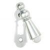 Delamain Large Covered Escutcheon - Polished Chrome