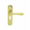 Astro Lever On Euro Lock Backplate - Polished Brass