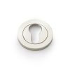 Alexander & Wilks - Concealed Fix Round Escutcheon - PVD Polished Nickel - Euro Profile