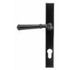 Black Regency Slimline Lever Espag. Lock Set