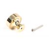 Polished Brass Scully Cabinet Knob - 38mm