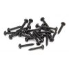 Black 10x2" Round Head Screws (25)