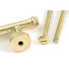 Polished Brass Regency Pull Handle - Small