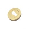 Euro Profile Escutcheon Satin Brass