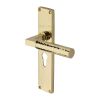 Heritage Brass Bauhaus Hammered Euro Profile Door Handle on 200mm Plate Polished Brass finish