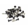 Black SS 3.5 x 20  Roundhead Screws (25)