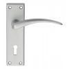 Wing Lever On Lock Backplate - Satin Chrome