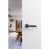 Forme Asti Lever Door Handle on Minimal Round Rose - Satin Chrome/Polished Chrome