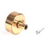 Polished Bronze Kelso Cabinet Knob - 38mm (No rose)