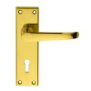 Victorian Ascot Lever On Lock Backplate - Polished Brass