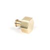 Polished Brass Kahlo Cabinet Knob - 25mm